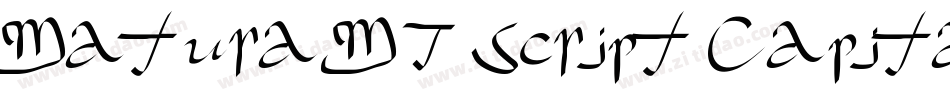 Matura MT Script Capitals字体转换